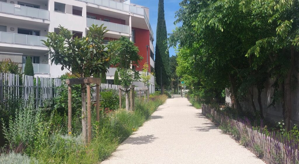 Depuis 2021, ZEPPELIN Architectes accompagne la commune de Bourg-lès-Valence dans une ambitieuse opération de renouvellement urbain.