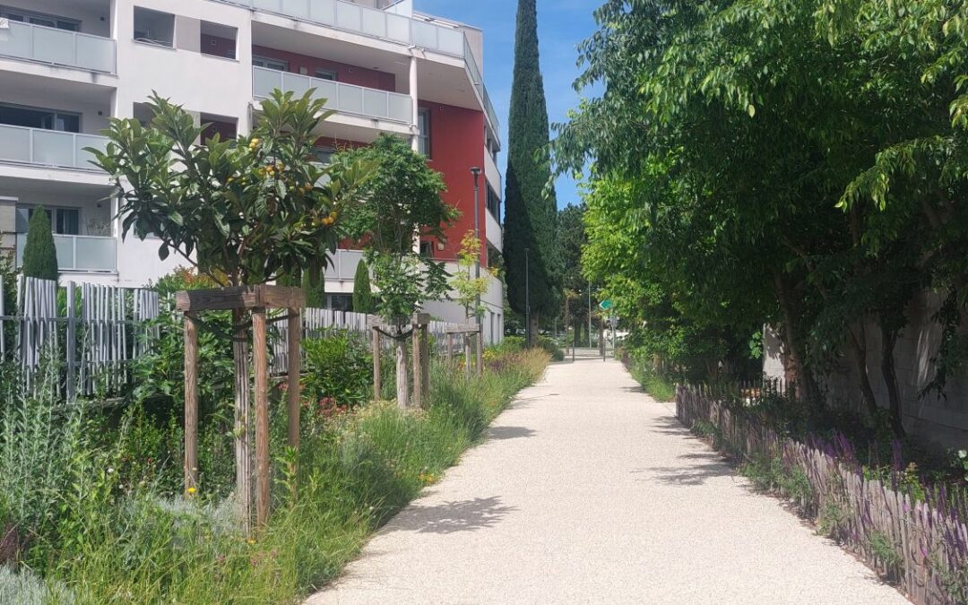 Depuis 2021, ZEPPELIN Architectes accompagne la commune de Bourg-lès-Valence dans une ambitieuse opération de renouvellement urbain.